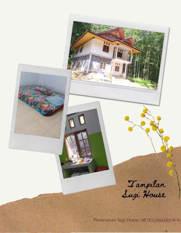 Sugi House Toraja - Villa Penginapan Sewa Harian Rantepao Exterior foto